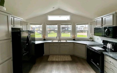 Gallery thumbnail The Akbash